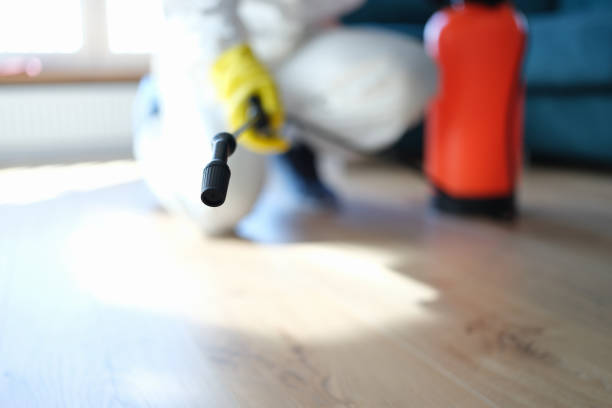 Best Mold Prevention Services  in Wedgefield, FL