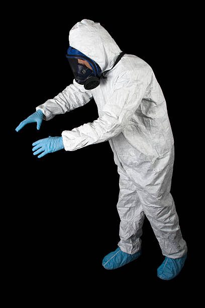 Best Attic Mold Removal  in Wedgefield, FL